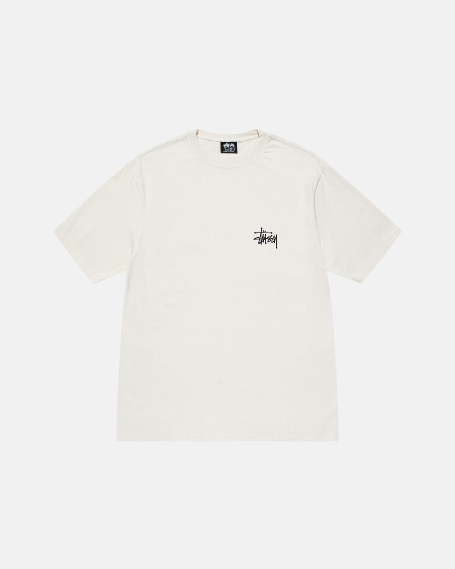 CAMISETA STÜSSY BÁSICA TEÑIDA CON PIGMENTOS